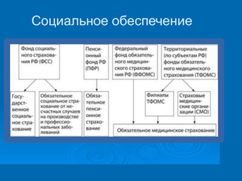 Социальная 4