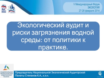 Председатель Национальной Экологической Аудиторской Палаты Степанов К.А., к.э.н.