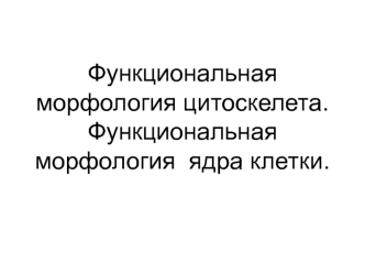 Функциональная морфология цитоскелета. Функциональная морфология ядра клетки