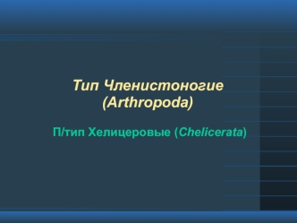 Тип Членистоногие (Arthropoda). Подтип Хелицеровые (Chelicerata)