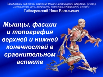 Мышцы, фасции и топография верхней и нижней конечностей в сравнительном аспекте