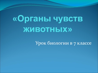 Органы чувств животных