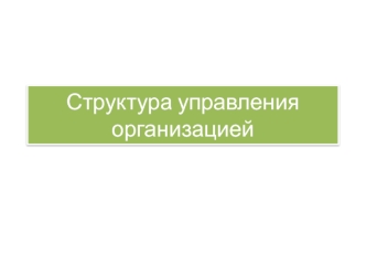 Структура управления организацией