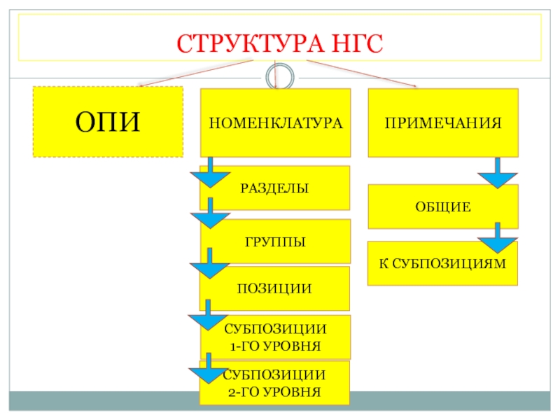 Примечания к разделам и группам. Структура Гармонизированной системы. Структура Гармонизированной системы описания и кодирования товаров.