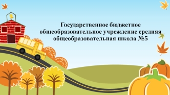 Государственное бюджетное общеобразовательное учреждение средняя общеобразовательная школа №5