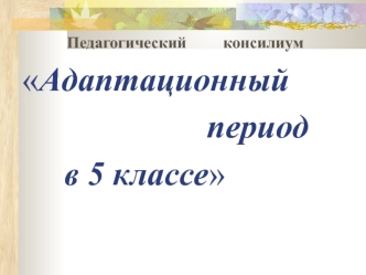 Педагогический         консилиум 
Адаптационный 
                      период 
     в 5 классе