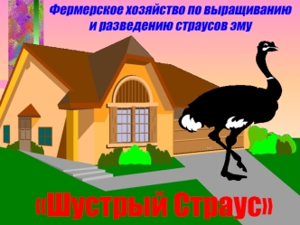 Шустрый Страус