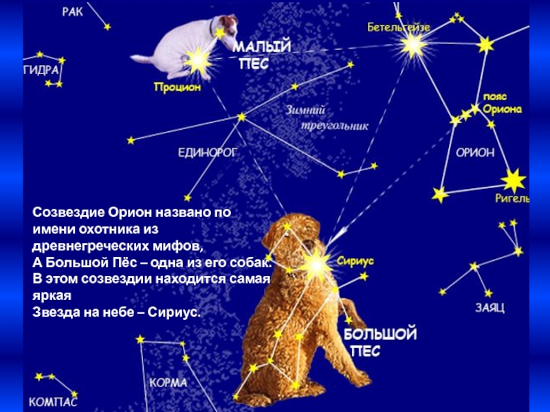 Созвездие для паладина сириус. Сириус Созвездие самая яркая звезда. Созвездие пса звезда каникула.