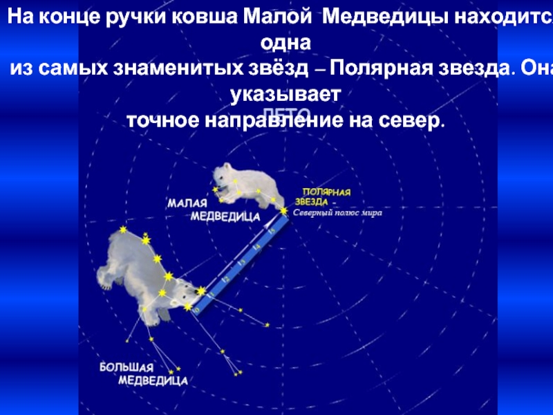 Созвездие малой медведицы картинки