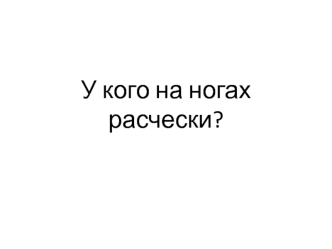 У кого на ногах расчески?