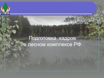 Подготовка  кадров  в лесном комплексе РФ