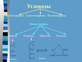 Углеводы