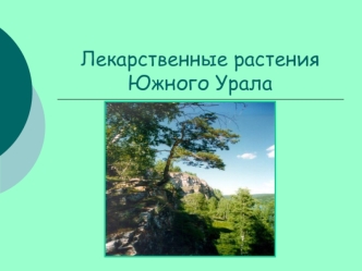 Лекарственные растения Южного Урала