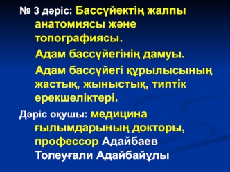 Бассүйектің жалпы анатомиясы және топографиясы