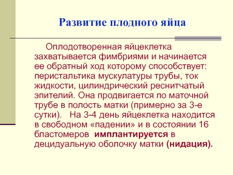 Оплодотворение и развитие плодного яйца презентация