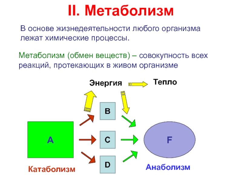 Анаболизм обмен веществ и энергии