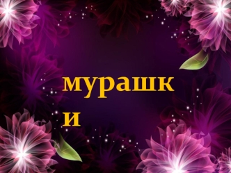 Мурахи чи мурашки