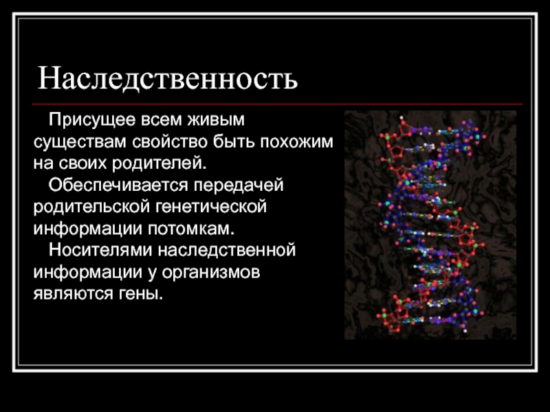 Генетика наследственность и изменчивость картинки