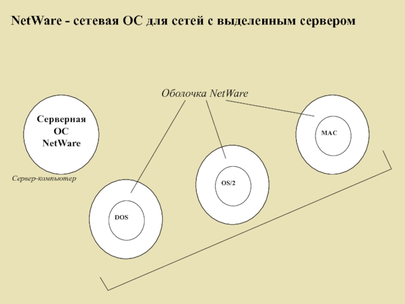 Сети осу карта