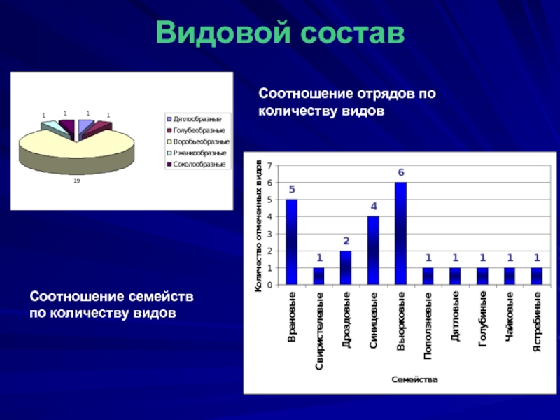 Виды численности. Количество видов растений соотношение графики. Численность видов семейства разноцветных. Состав и соотношение птиц. Процентное соотношение видов по семействам.