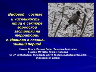 Видовой	 состав 
и численность птиц в секторе городской застройки на территории 
г. Иваново в осенне-зимний период