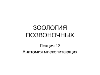 Зоология позвоночных. Анатомия млекопитающих. (Лекция 12)