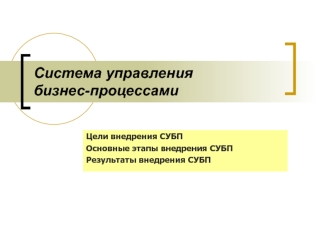 Система управления бизнес-процессами