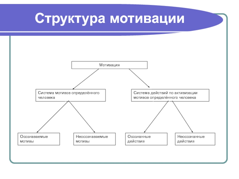 Структура мотивации