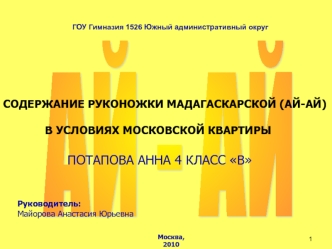 Содержание руконожки мадагаскарской (ай-ай) в условиях московской квартиры