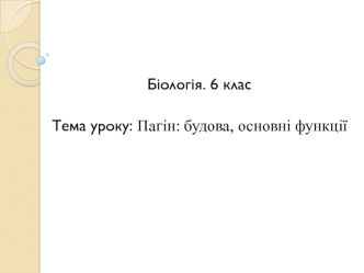 Пагін: будова, основні функції