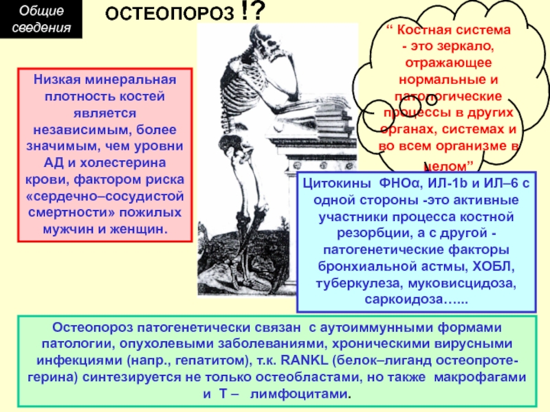 Низкая плотность костей. Низкая минеральная плотность костей. Остеопороз ХОБЛ. Минеральная плотность кости.