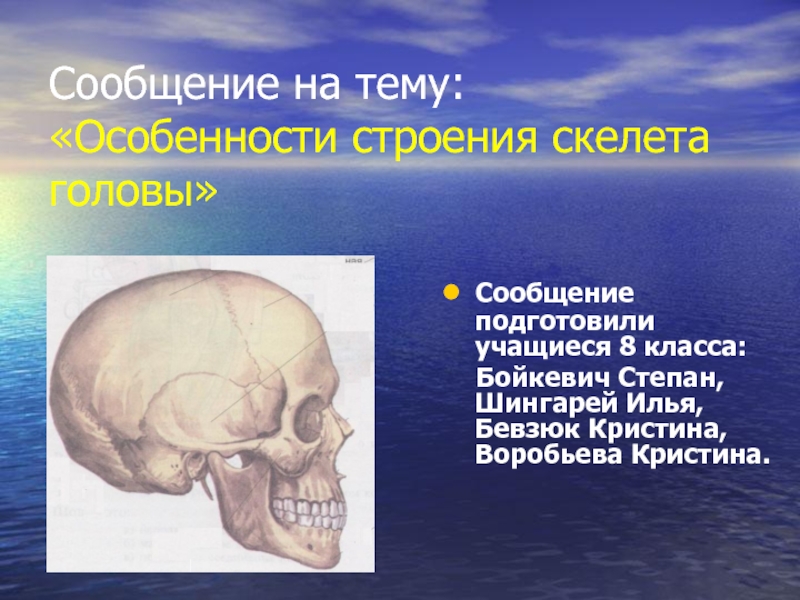 Скелет головы особенности строения. Скелет головы. Строение скелета головы. Особенности строения скелета головы у человека. Характеристика скелета черепа.