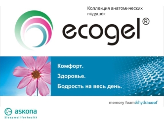 Подушки EcoGel. Коллекция анатомических подушек