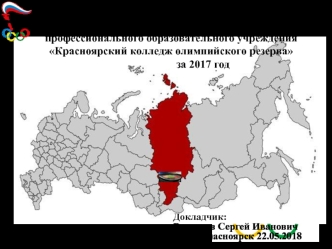 Публичный отчет директора