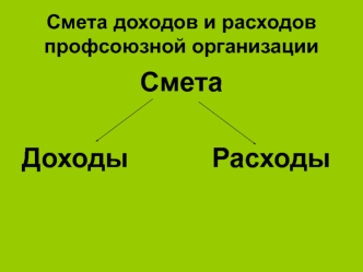 Смета доходов и расходов профсоюзной организации