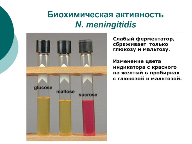 Биохимическую активность. Индикаторы в пробирках. Глюкоза пробирка цвет. Индикаторные пробирки в помещении. Демонстрация биохимической активности.
