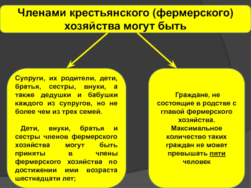 Общая собственность членов крестьянского фермерского хозяйства