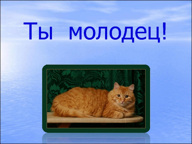 Кошки молодцы. Ты молодец. Кот молодец. Ты молодец котик. Открытка котика ты молодец.