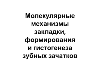 Молекулярные механизмы закладки, формирования и гистогенеза зубных зачатков