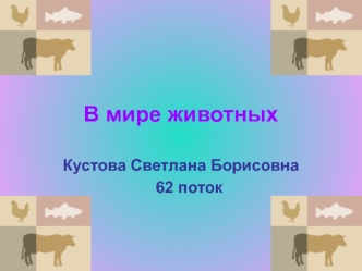 В мире животных