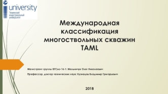 Презентация - Международная классификация многоствольных скважин TAML