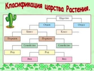 Классификация царства Растения