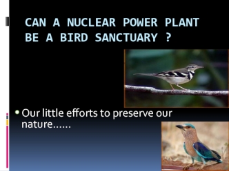 Can a nuclear power plant be a bird sanctuary ?