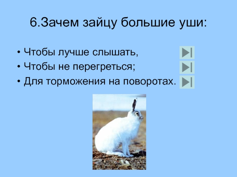 Зайцу нужно было. Зачем зайцу большие уши. Почему у зайца большие уши. Зачем зайцу хвост. Зачем зайцу длинные уши.