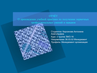 Отчёт о прохождении учебной практики по получению первичных профессиональных умений и навыков