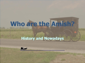 Who are the Amish?