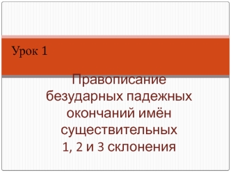 Правописание безударных падежных окончаний имён существительных 1, 2 и 3 склонения