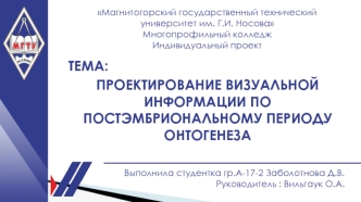 Проектирование визуальной информации по постэмбриональному периоду онтогенеза