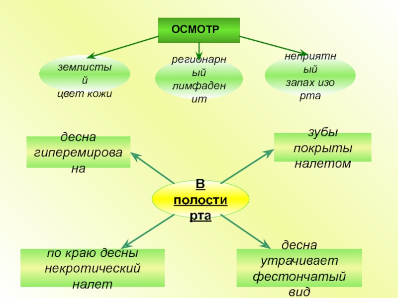 Значение слова землистый