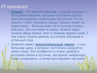 Хомяки. Советы по содержанию хомячков в домашних условиях